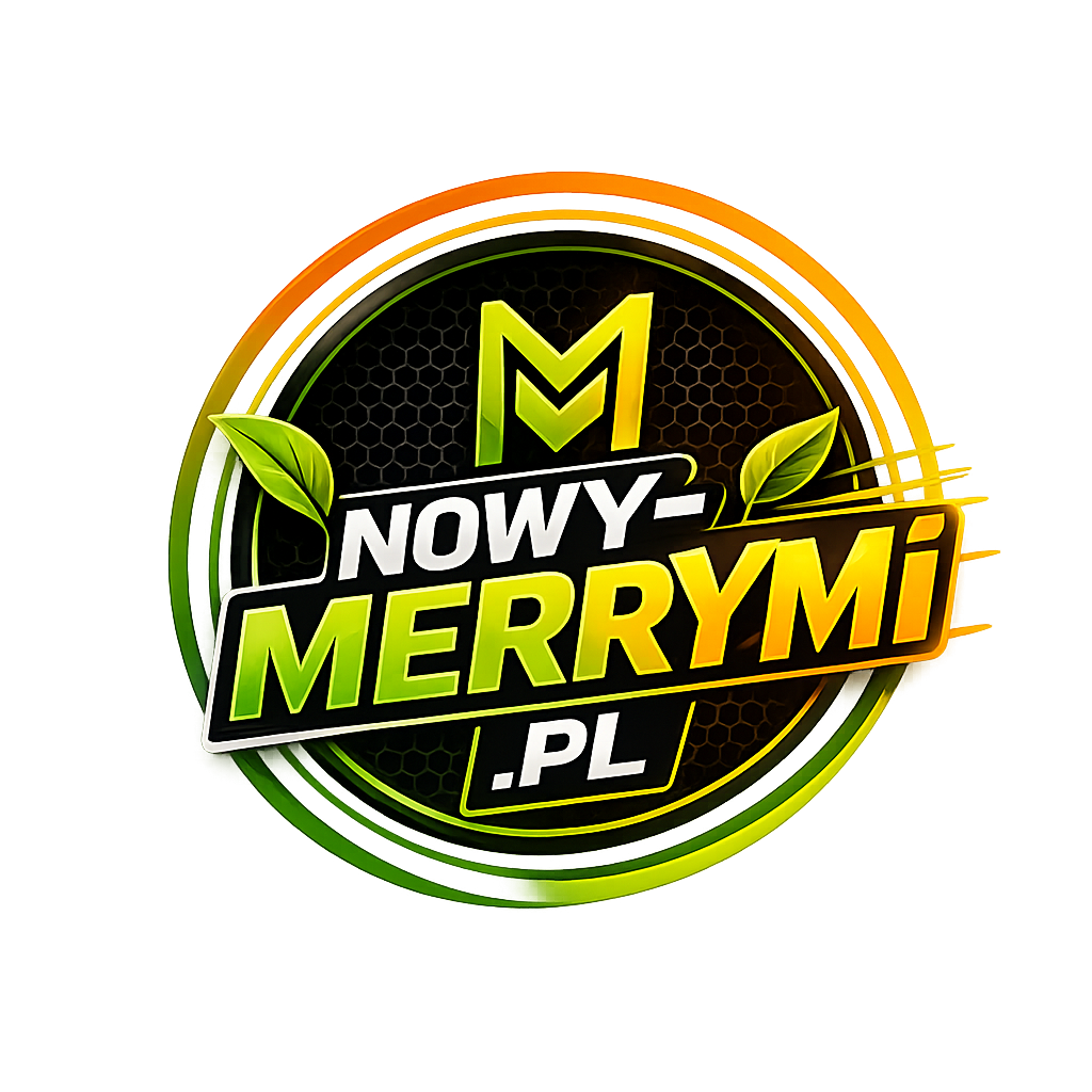 Logo MERRYMI